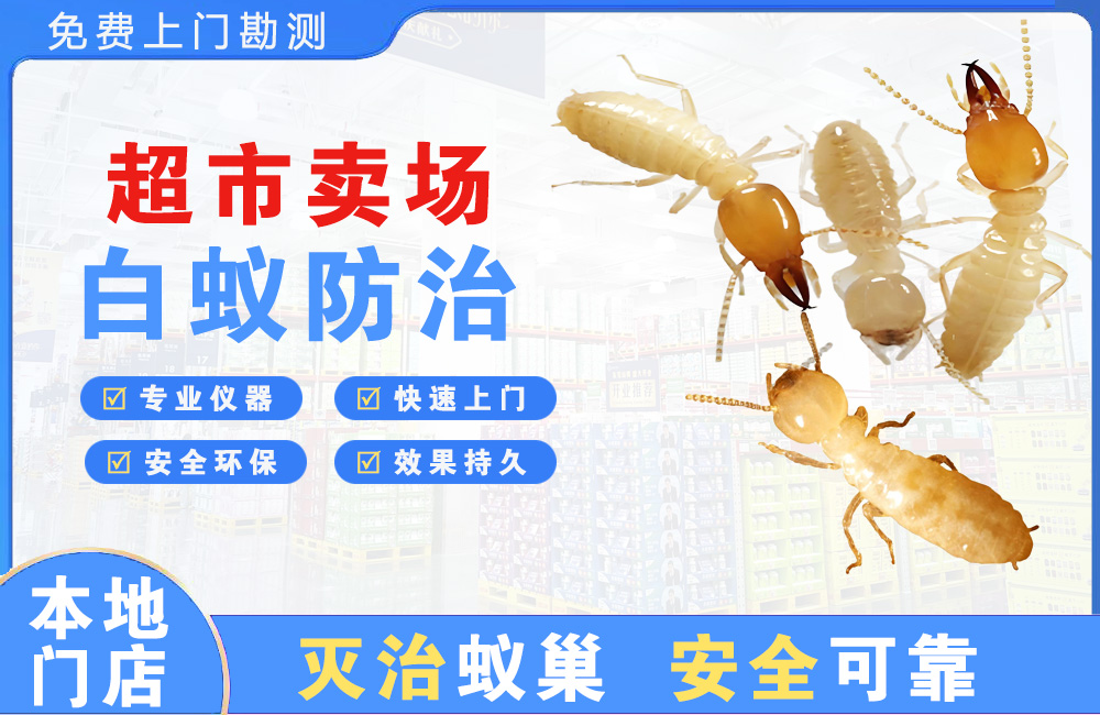 巴南超市卖场白蚁防治