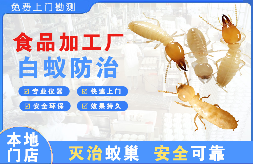 巴南食品加工厂白蚁防治
