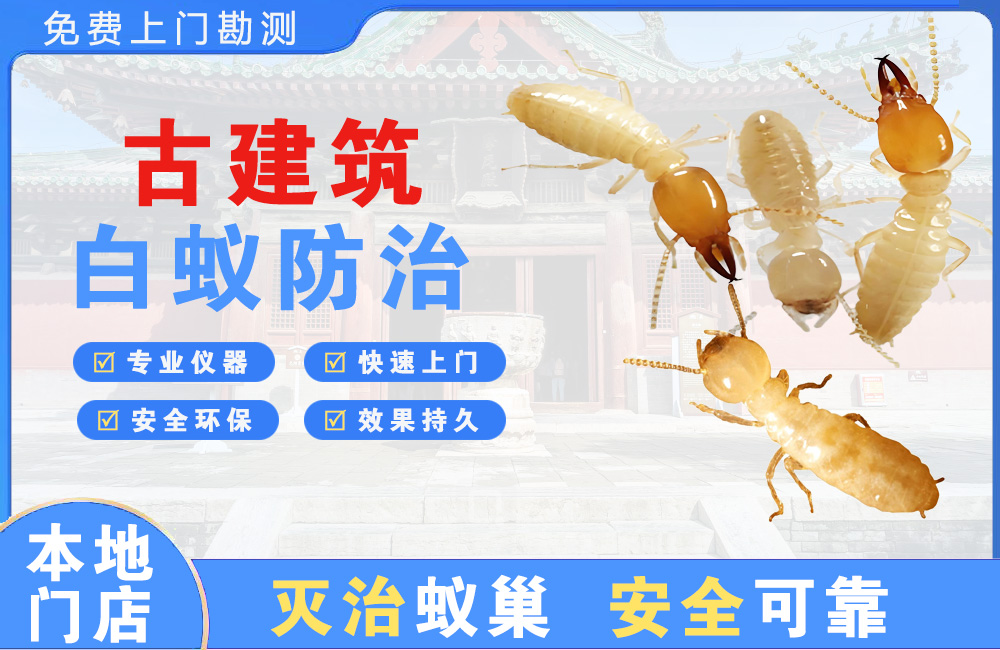 巴南古建筑白蚁防治