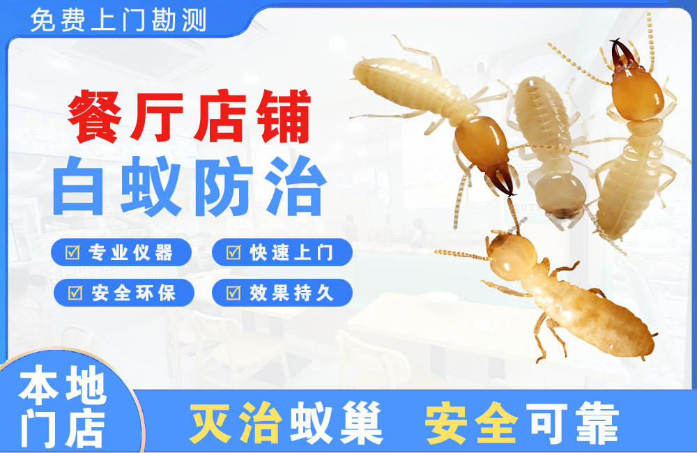 巴南餐厅店铺白蚁防治